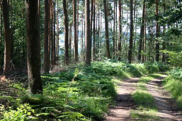 Levätä Belgiassa: Paras lomakohteet 4424_4