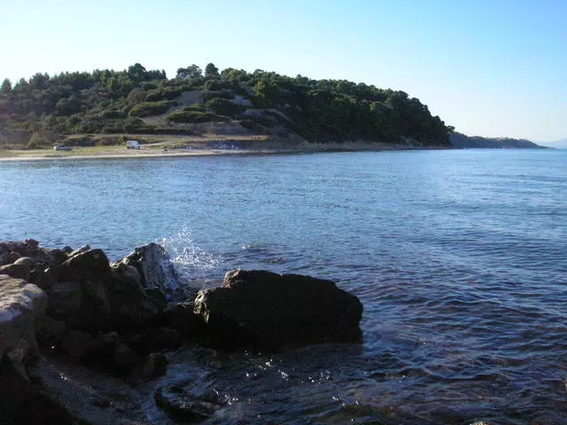 Halkidiki: fyrretræer, katte og 