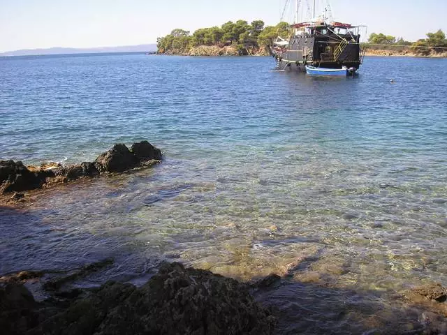 Halkidiki: Şam, pişiklər və 