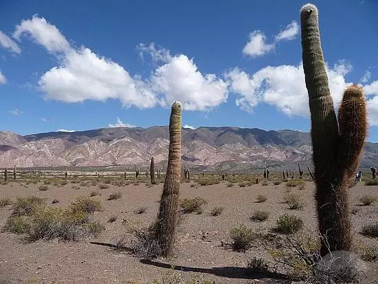 O que vale a pena ver em Salta? Os lugares mais interessantes. 47209_8