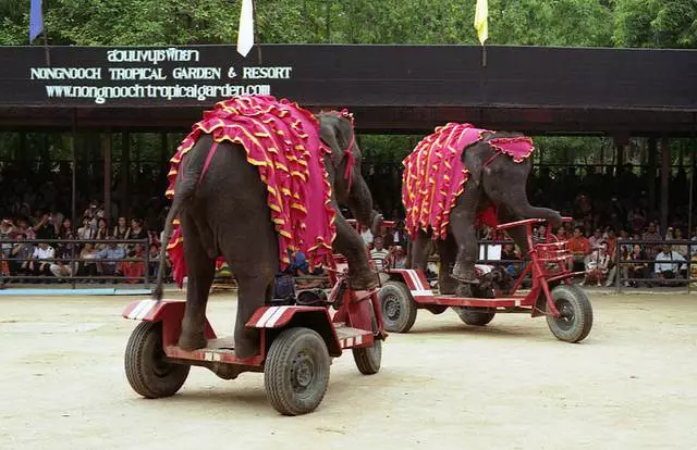 Iyomi ni Pattaya, nibiti o ṣe igbadun pupọ, ṣugbọn iṣoro ti o han pẹlu okun. 4871_2