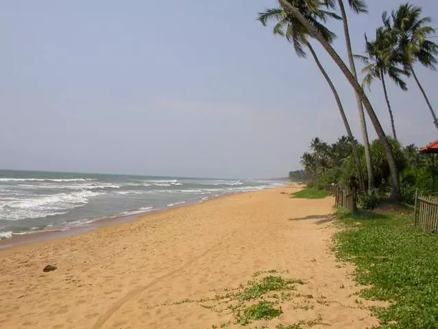 Pause mit Kindern auf Sri Lanka: Ist es lohnt es? Welches Resort wählen? Wann gehen? Wo soll ich mit einem Kind gehen? 4914_1