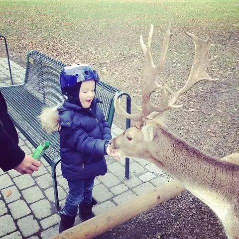 Reste avec des enfants à Cologne 49587_17