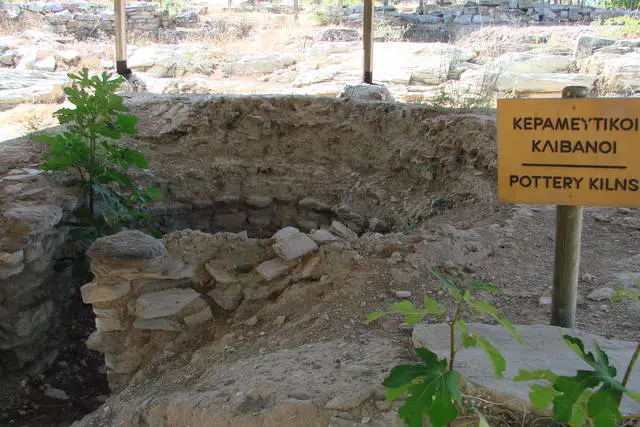 מה עלי להסתכל בשיער? המקומות המעניינים ביותר. 49952_4