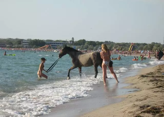 Впечатления от почивка в междуводните води. 5066_4