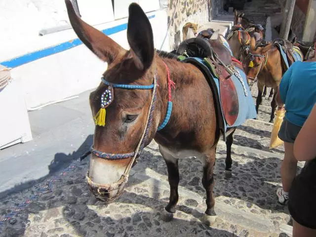 Santoriniga nima arziydi? Eng qiziqarli joylar. 50712_11