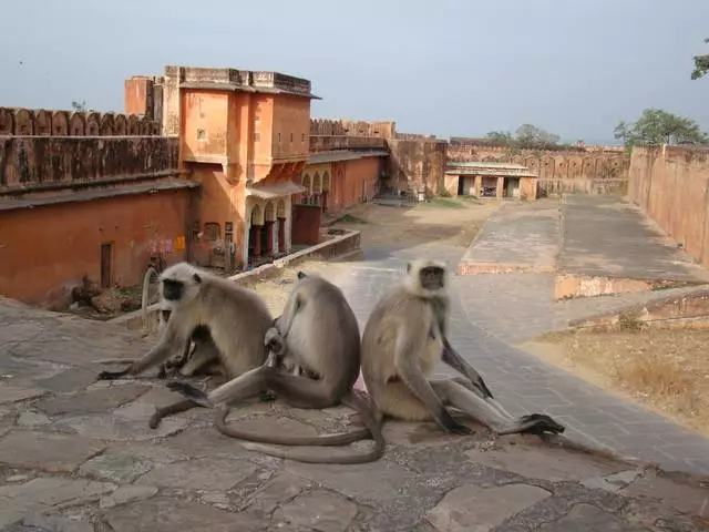 Jaipur - Hindistan Maharaja çəhrayı şəhəri 5134_4