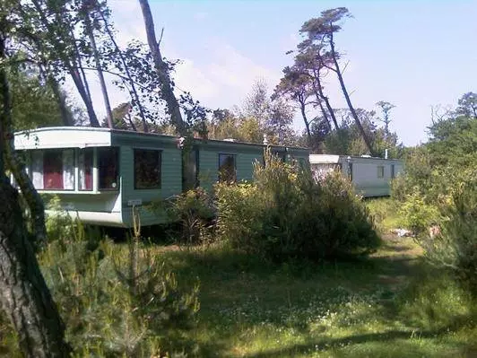 Hvor er den bedste måde at bo på Curonian Spit? 5196_5