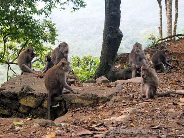 Apa yang pantas untuk dilihat pada Lombok? Tempat paling menarik. 52566_10