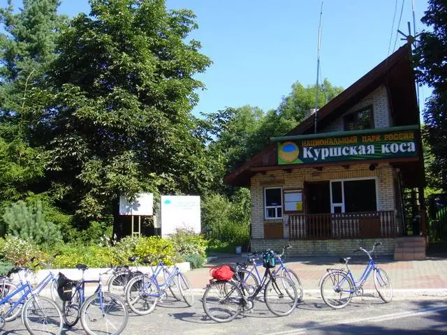 Mapuslanon nga kasayuran bahin sa holiday sa curonian spit. 5292_1