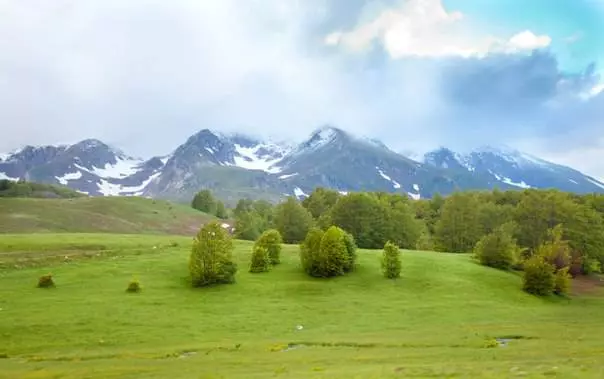 Дали вреди да се оди во Zhelyak? 5307_2