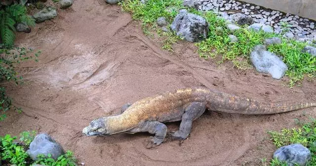 ¿Vale a pena ir con nenos para descansar en Nusa Dua? 5309_3