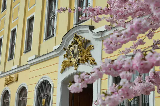 Dresden'de rahatlamayı seçmek için otel nedir? 5322_2