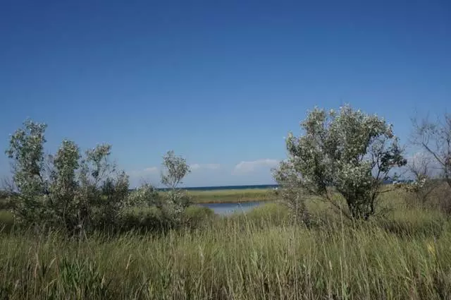 Quelles excursions méritent de visiter Skadovsk? 5343_2