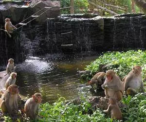 Welke excursies die een bezoek waard zijn in Sanya? 5346_1