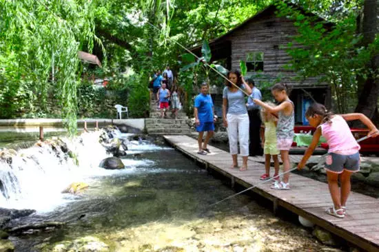 Odpočinek s dětmi v Kirish. Užitečné tipy. 5352_5