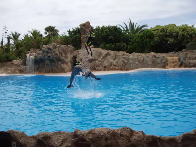 ຂ້ອຍຄວນເບິ່ງສິ່ງທີ່ Tenerife? ສະຖານທີ່ທີ່ຫນ້າສົນໃຈທີ່ສຸດ. 54072_5