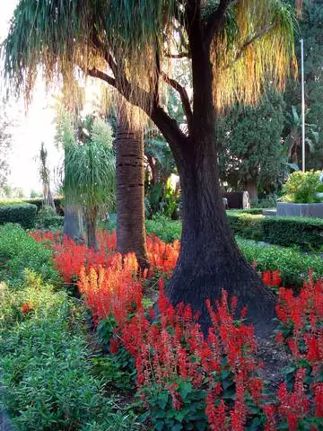 Ciò che vale la pena vedere a Taormina? I luoghi più interessanti. 55207_3