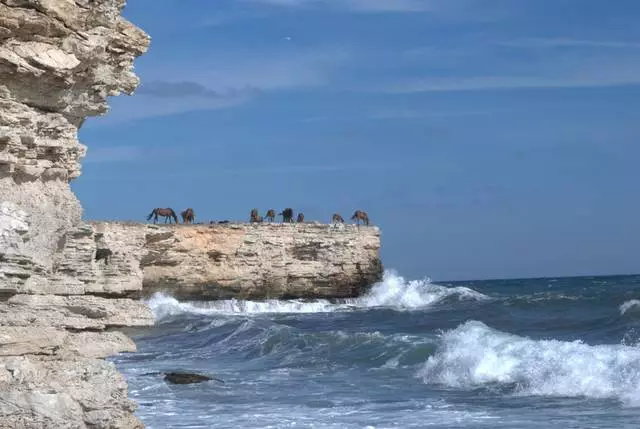 וואָס יקסקערזשאַנז זאָל זיין באזוכט אין סאָנגסאַן? ווו בעסער צו קויפן יקסקערזשאַנז? 56840_4