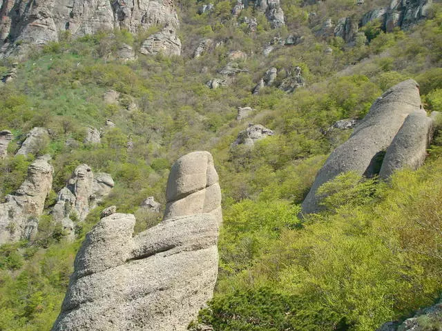 Τι εκδρομές που αξίζει να επισκεφθείτε στο Simeiz; Πού καλύτερα να αγοράσετε εκδρομές; 56910_2