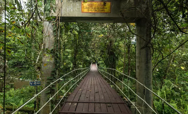 Kuching মধ্যে বিশ্রাম: পেশাদার এবং বিপর্যয়। আমি কি কুচিংকে যেতে পারি? 58016_3