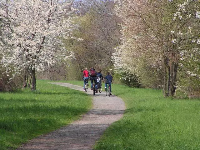 Wêr kin ik mei in bern yn Bremen gean? 5867_16