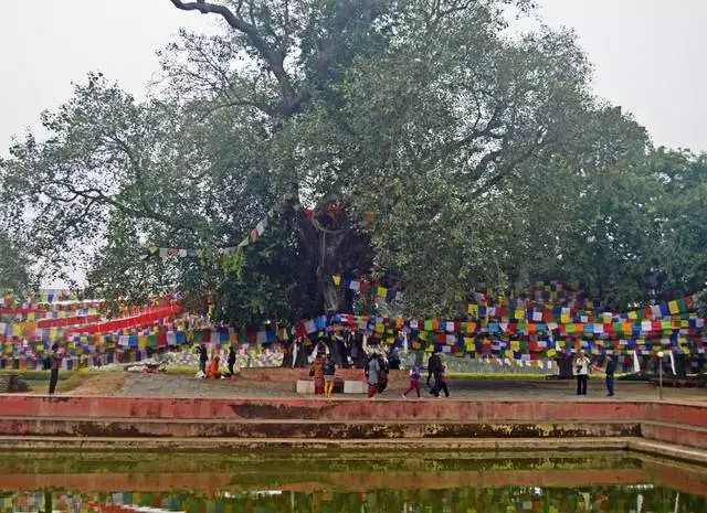 Lumbini ರಲ್ಲಿ ಮೌಲ್ಯಯುತ ವೀಕ್ಷಣೆ ಏನು? ಅತ್ಯಂತ ಆಸಕ್ತಿದಾಯಕ ಸ್ಥಳಗಳು. 58865_6