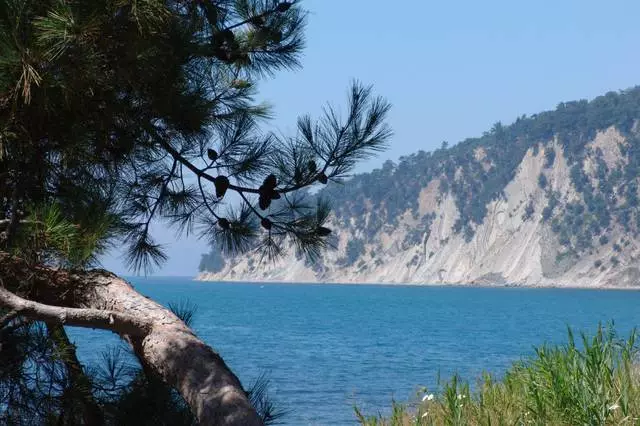 Rest in Bay Inal: kebaikan dan keburukan. Adakah ia bernilai ke teluk Inal? 59954_2