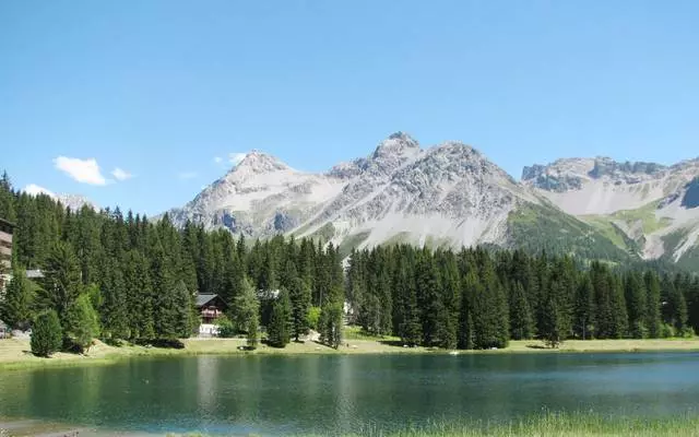 Val la pena anar a arozu?