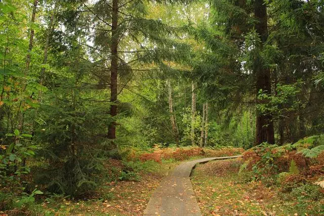 Yintoni ekufuneka ijonge kwi-Curonian Spit? Ezona ndawo zinomdla kakhulu. 60504_2