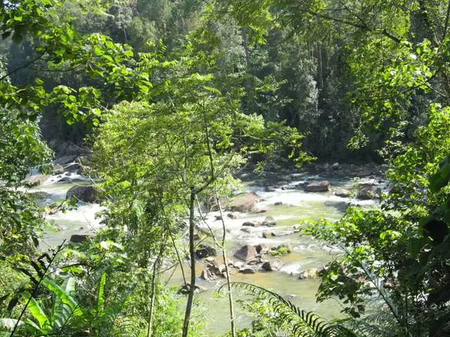 De beste excursies in Sri Lanka. 6067_2