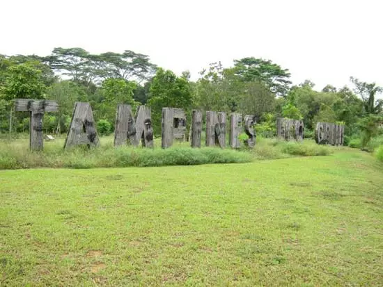 Apa hiburan ing Singapura? Kepiye cara kanggo liburan? 61252_1