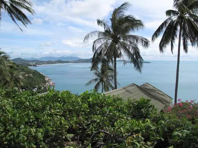 Fekânsje op Samui: Foarkom en neidielen. Moat ik nei Samui gean?