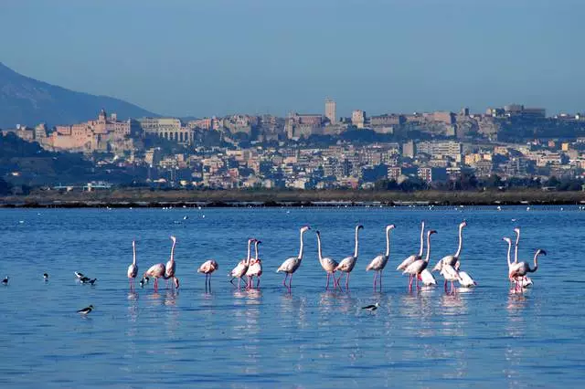 Czy warto iść do Cagliari? 6243_5