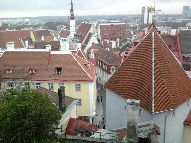 Sut i gael amser i dreulio amser yn Tallinn? 6282_2