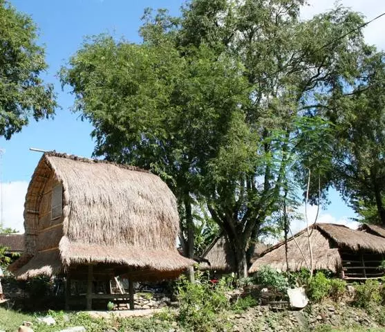 Hokker ferdivedaasje is op Lombok? 6303_3