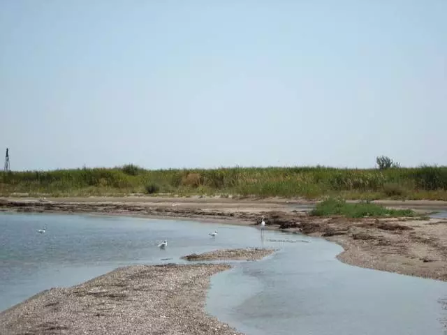 Vila på Belosaray Spit: Fördelar och nackdelar. Är det värt att gå till Belosaray Spit? 63527_2