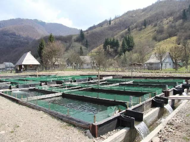 Кандай экскурсияга баруунун кереги бар? Экскурсия сатып алганы жакшы? 63844_12