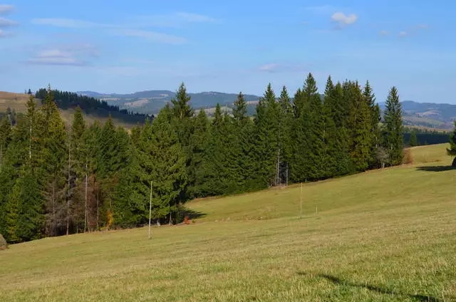 Kiedy lepiej odpocząć w piekarniku? 6546_4