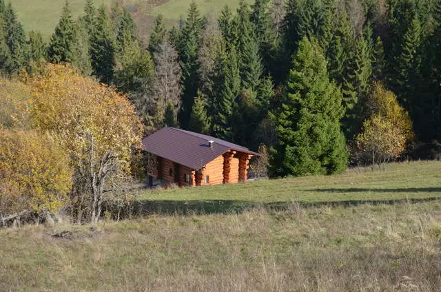 Kada je bolje odmoriti u pećnici? 6546_5