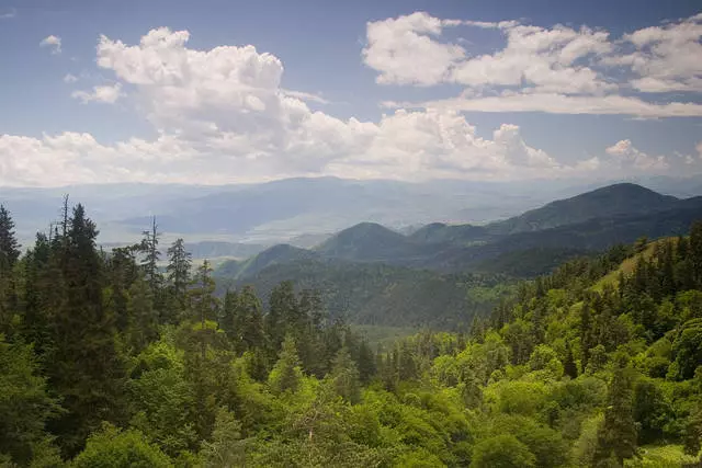 Co powinienem zobaczyć w Borjomi? 6587_2