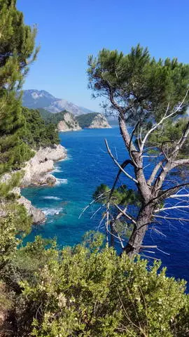 Vacances à Petrovac: Revues touristiques