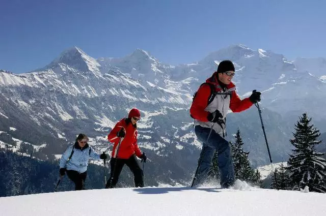 Vilken underhållning är i Wengen? 6645_2