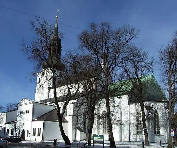 Di Tallinn de çi ye ku hêja ye? Deverên herî balkêş. 67468_4