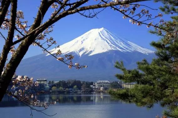 Tokyo'da ne görmeliyim? En ilginç yerler. 67748_4