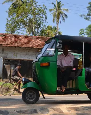 Petturid Sri Lanka kohta. Mida hoiduda ja kuidas käituda. 6789_3