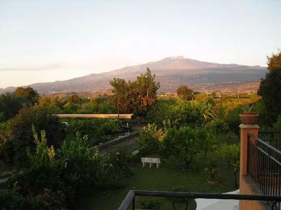 Ce merită vizionarea în Jardini Naxos? 6853_14