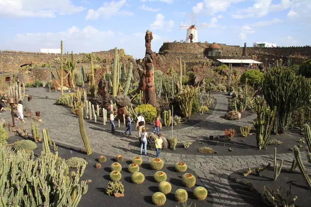 Herinandro ao amin'ny Lanzarote. 6869_6