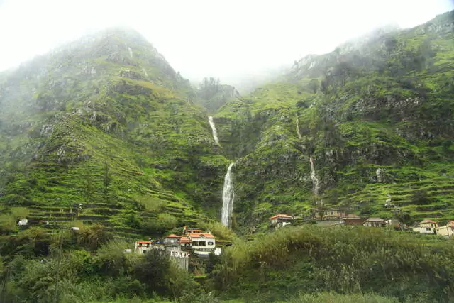 Madeira üçün bir yarısı 6951_2