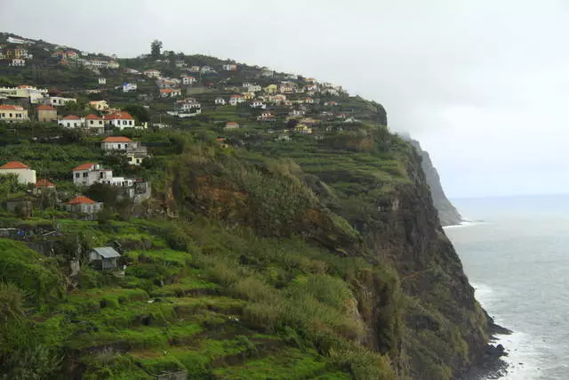 Hálft fyrir á Madeira 6951_3